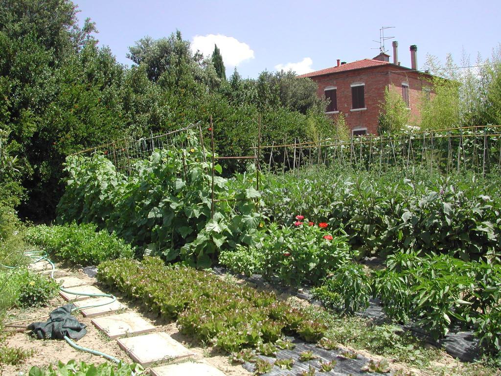 Villa La Lodola Foiano Della Chiana Extérieur photo