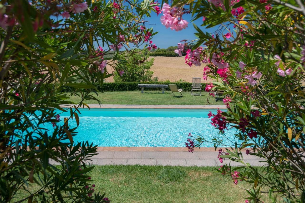 Villa La Lodola Foiano Della Chiana Extérieur photo